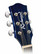 Teräskielinen kitara Richwood Artist RD-12BUS