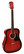 Teräskielinen kitara Richwood Artist  RD12RS