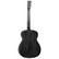 Elektro-akustinen kitara Tanglewood Blackbird TWBB OE