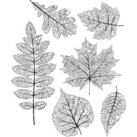 Tim Holtz - Pressed Foliage, Leimasetti