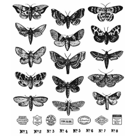 Tim Holtz - Moth Study, Leimasetti