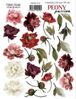 Fabrika Decoru - Peony Passion #2, Tarra-arkki