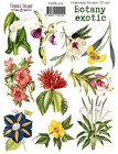 Fabrika Decoru - Botany Exotic #10, Tarra-arkki