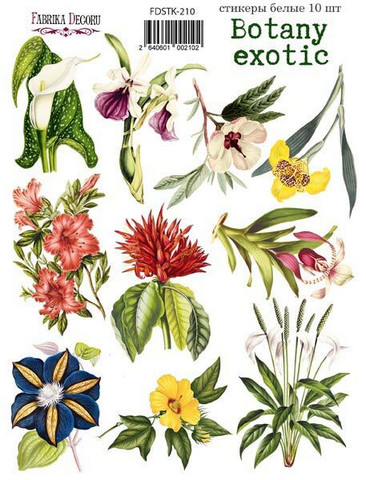 Fabrika Decoru - Botany Exotic #10, Tarra-arkki