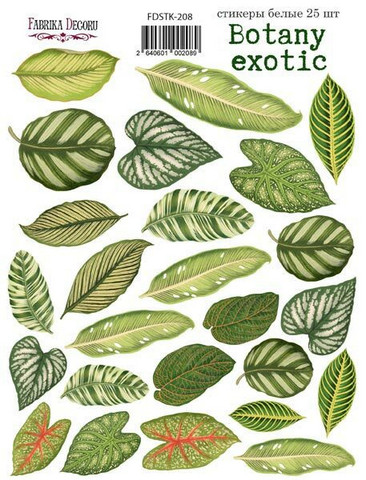 Fabrika Decoru - Botany Exotic #8, Tarra-arkki