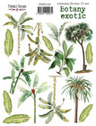 Fabrika Decoru - Botany Exotic #7, Tarra-arkki