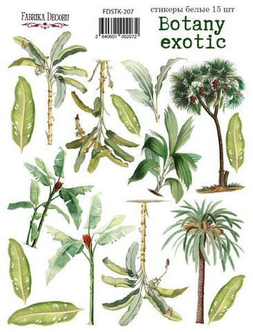 Fabrika Decoru - Botany Exotic #7, Tarra-arkki