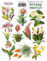 Fabrika Decoru - Botany Exotic #4, Tarra-arkki