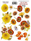 Fabrika Decoru - Autumn Botanical Diary #4, Tarra-arkki