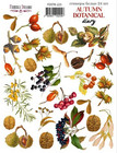 Fabrika Decoru - Autumn Botanical Diary #3, Tarra-arkki