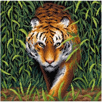 BrilliArt - King of The Jungle (K)(N), Timanttimaalaus, 38x38cm