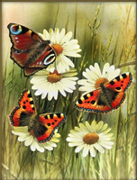 ArtMosfa - Butterflies (K)(N), Timanttimaalaus, 30x40cm