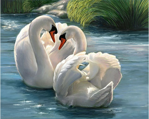 Collection D'Art - Loving Swan Couple (K)(N), Timanttimaalaus, 48x38cm