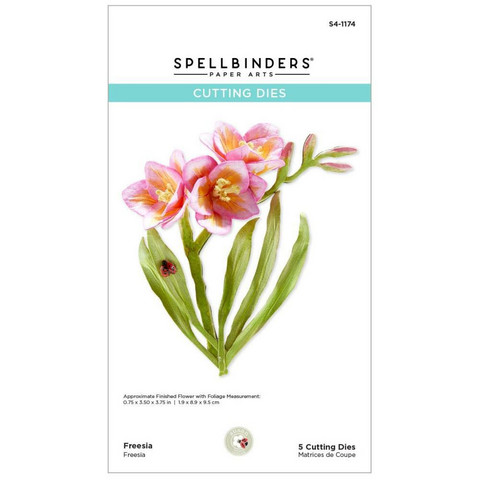 Spellbinders - Etched Dies, Freesia - Garden Favorites, Stanssisetti