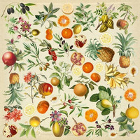 Fabrika Decoru - Exotic Fruits, Leikekuva-arkki 12