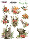 Fabrika Decoru - Forest Life, Tarra-arkki