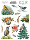 Fabrika Decoru - Forest Life, Tarra-arkki