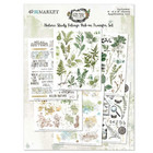 49 and Market - Vintage Artistry Nature Study Foliage Rub-Ons 6