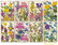 Decorer - Spring Meadow, Korttikuvia, 24 osaa