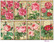 Decorer - Roses, Korttikuvia, 24 osaa