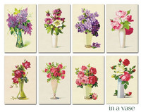 Decorer - In a Vase, Korttikuvia, 24 osaa