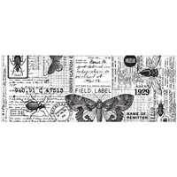 Tim Holtz - Idea-Ology Collage Paper, Entomology, 15cm x 5,5m