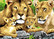 Royal&Langnickel - Paint By Numbers Kit, Pride of Lions