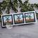 Hero Arts - Looking Glass Windmill Tulips, Stanssisetti
