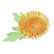 Sizzix -Thinlits Dies By Kath Breen, Stanssisetti, Chrysanthemum