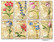 Decorer - Herbarium, Korttikuvia, 24 osaa
