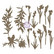 Prima Marketing - Sharon Viv Chipboard Die-Cuts, Bloom