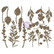 Prima Marketing - Sharon Viv Chipboard Die-Cuts, Orchidea