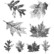 Tim Holtz - Falling Leaves, Leimasetti