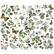 Simple Stories - Simple Vintage Weathered Garden, Leikekuvat, 47 osaa, Floral