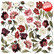 Fabrika Decoru - Peony Passion, 12