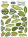 Fabrika Decoru - Botany Exotic #8, Tarra-arkki