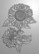 Gemini - 3D Embossing Folder, Sunflowers
