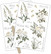Craft Consortium - Belle Fleur, Rub On Transfers, Siirtokuvia, 2arkkia