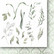 Craft O`Clock - Woman In Gold - Flowers and Ornaments, Paper Collection Set 6