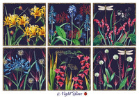 Decorer - Nighttime, Paper Pack 8