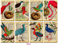 Decorer - Bird, Korttikuvia, 24 osaa