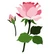 Honey Bee Stamps - Roses, Stanssisetti