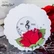 Honey Bee Stamps - Roses, Stanssisetti