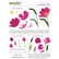 Honey Bee Stamps - Tulips, Stanssisetti