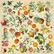 Fabrika Decoru - Exotic Fruits, Leikekuva-arkki 12