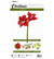 Studio Light - Amaryllis Essentials, Sapluuna