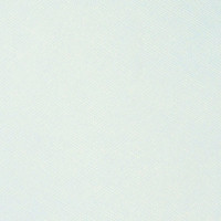 Tonic - Luxury Embossed Cardstock, Ice Rink, A4, 5 arkkia