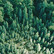 Fabrika Decoru - Forest Life, 12