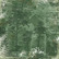 Fabrika Decoru - Forest Life, 12
