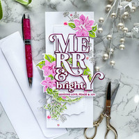 Pinkfresh Studio - Holiday Elements, Kerrossapluunasetti